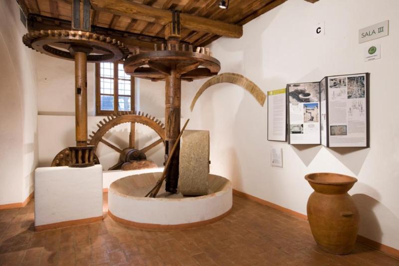 Titolo: MOO- Museo dell'Olivo e dell'Olio