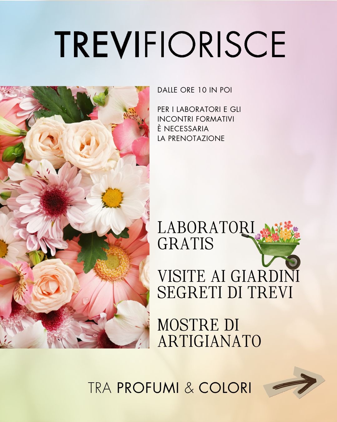 Programma di Trevi Fiorisce a Trevi