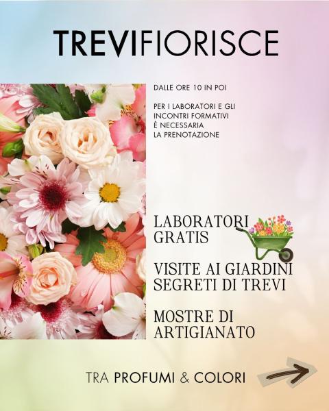 Locandina di Trevi Fiorisce a Trevi