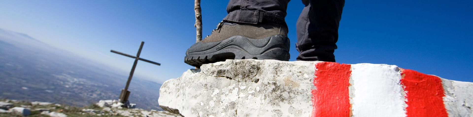 THE WAY OF SAINT FRANCIS