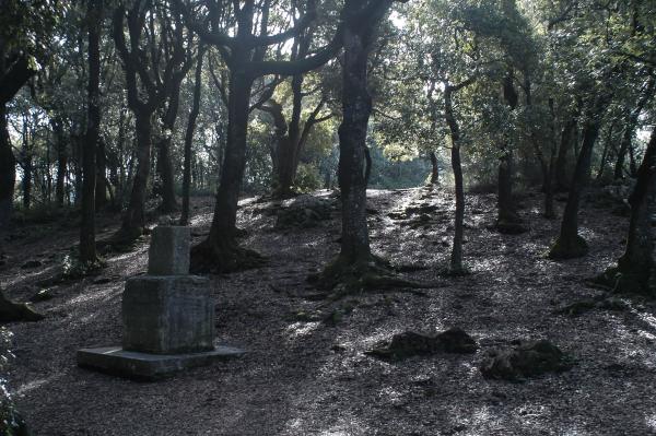 Titolo: Hiking from Spoleto to Monteluco 