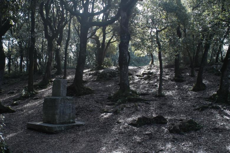 Titolo: Hiking from Spoleto to Monteluco