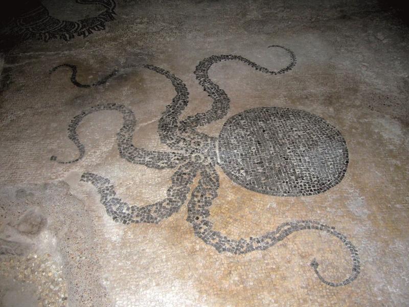 Bevagna's refined mosaic