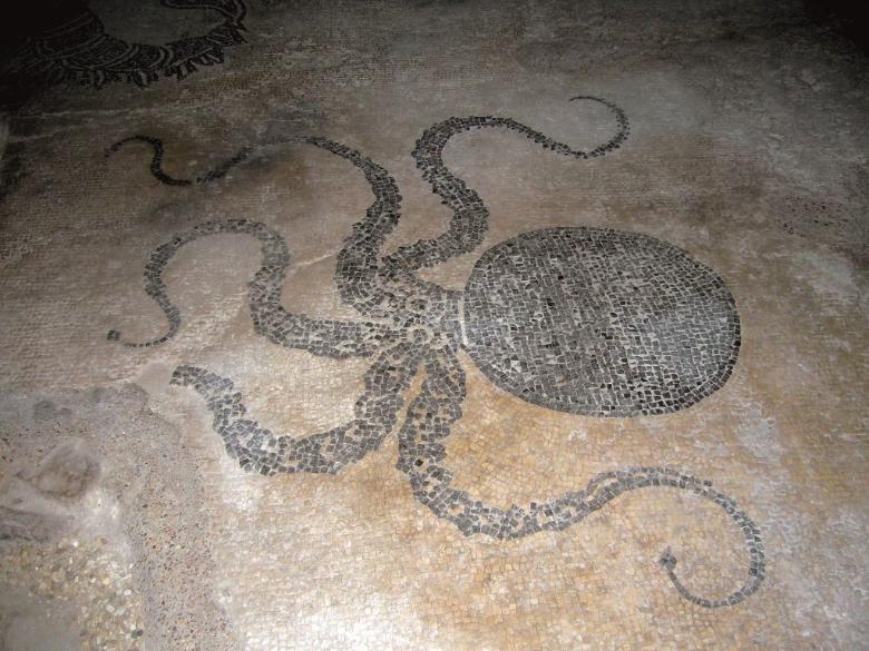  Bevagna's refined mosaic 