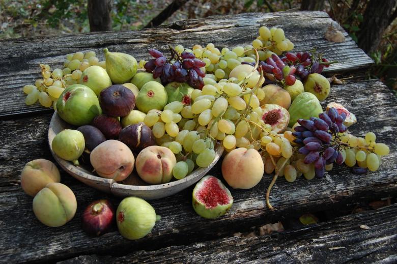 Immagine: Parco di Archeologia Arborea di San Lorenzo di Lerchi 