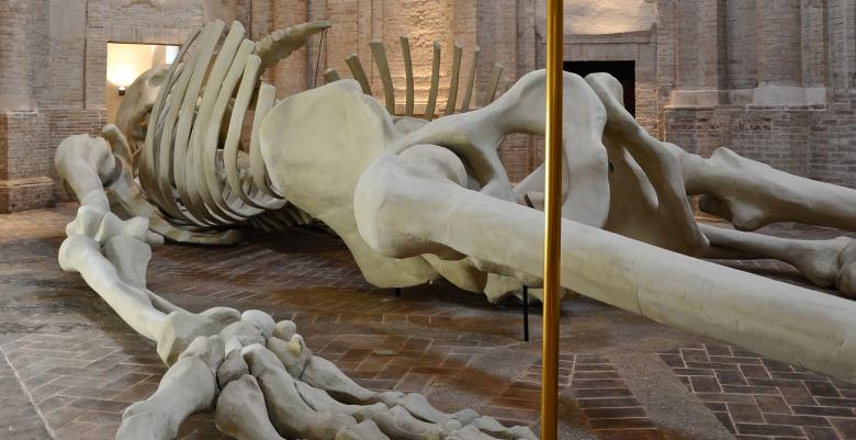 Immagine: La Calamita Cosmica (The Cosmic Magnet) 