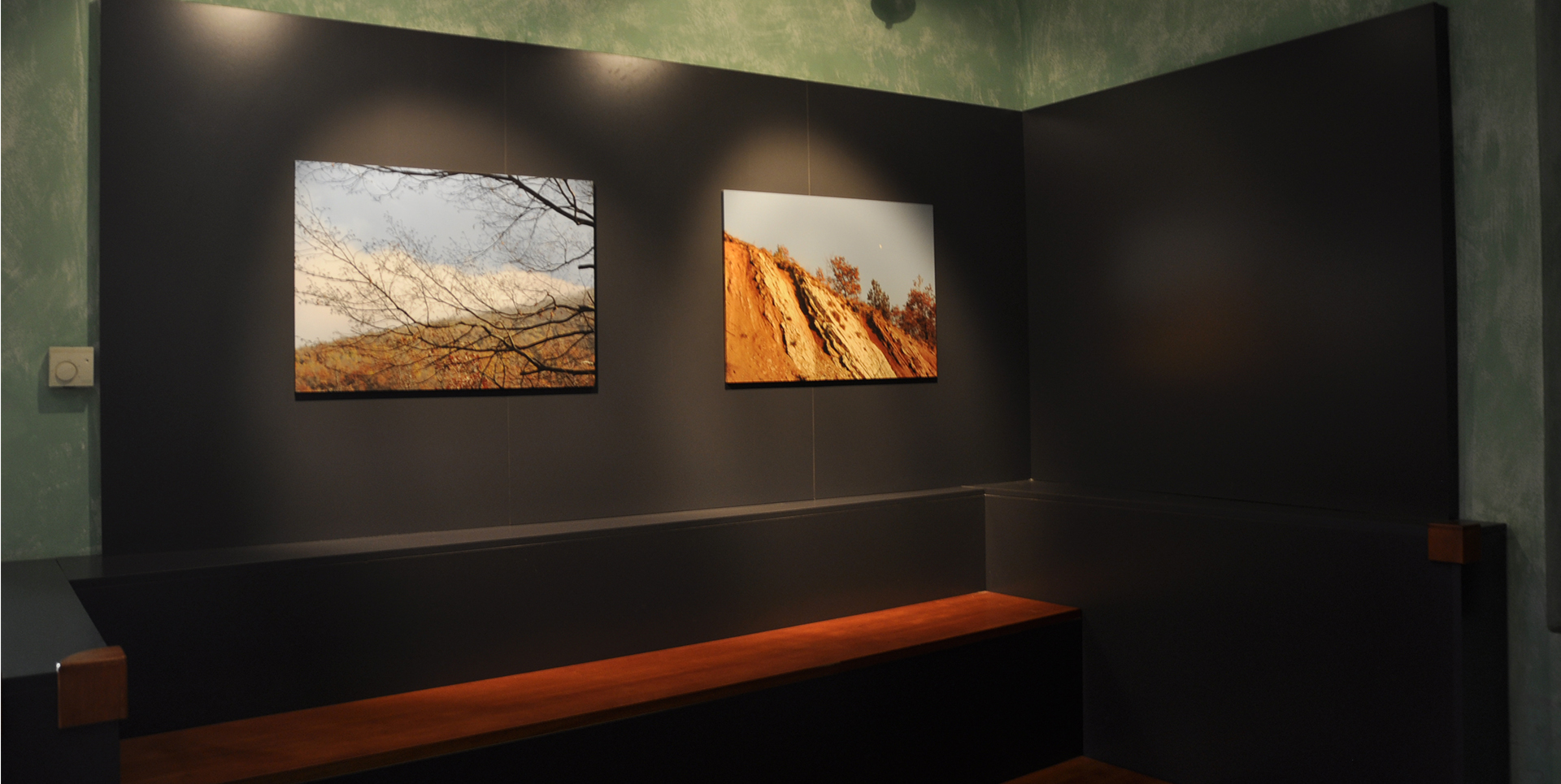 Museo ornitologico - naturalistico "Silvio Bambini"- Pietralunga