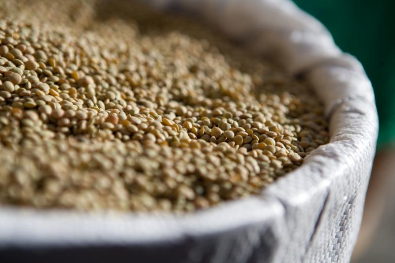 Immagine: Lentil of Castelluccio di Norcia PGI 