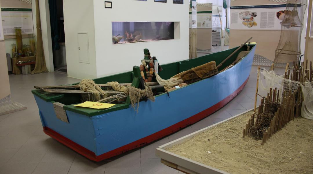 Aménagement du Musée de la Pêche du Trasimène avec outils traditionnels, filets et panneaux d’exposition.