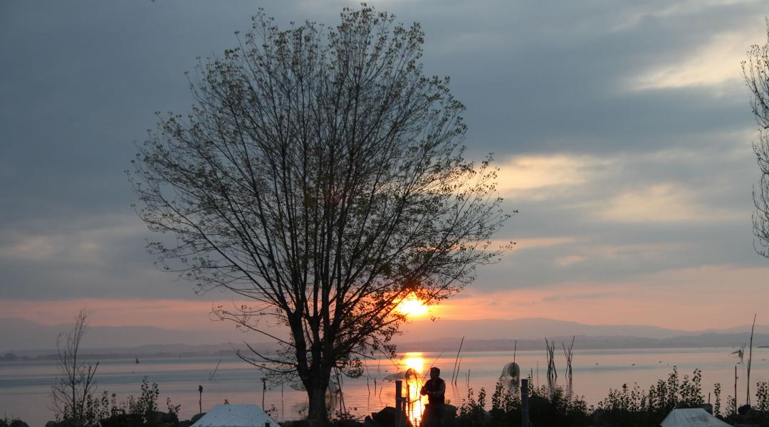 Panneaux d’exposition et outils traditionnels au Musée de la Pêche du Trasimène, avec vitrines sur les techniques de capture.