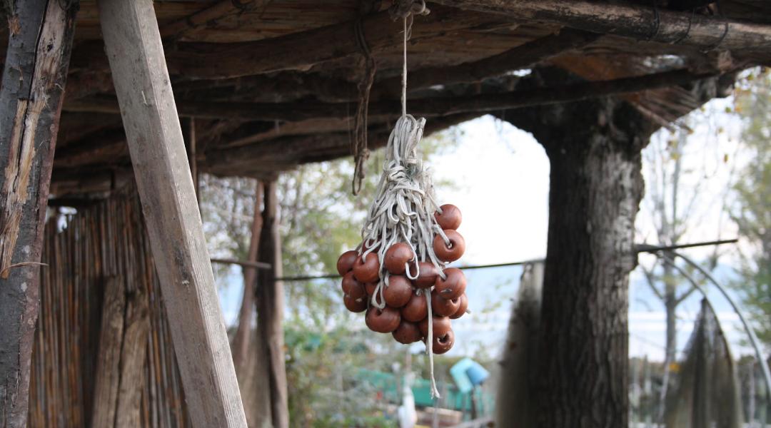 Présentation au Musée de la Pêche du Trasimène avec paniers tressés, outils traditionnels et panneaux informatifs.