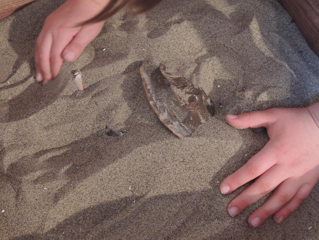 GEOLAB - Museum laboratory of Earth sciences