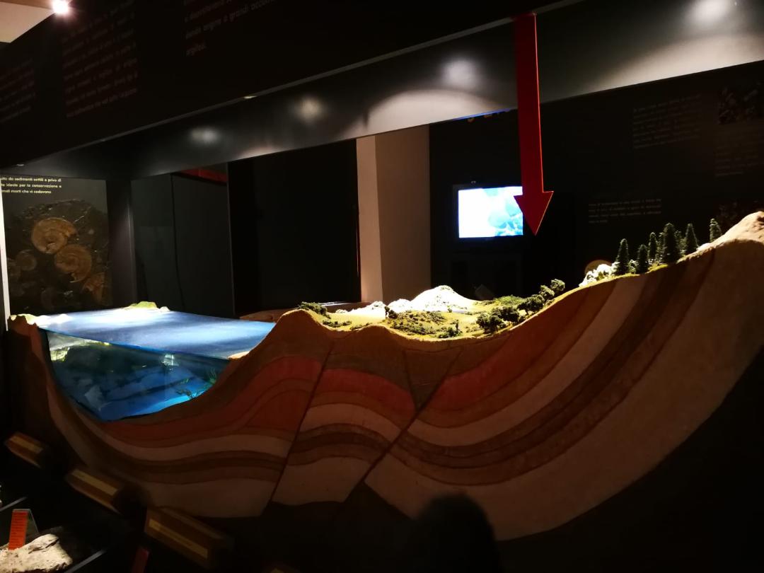 GEOLAB - Museum laboratory of Earth sciences