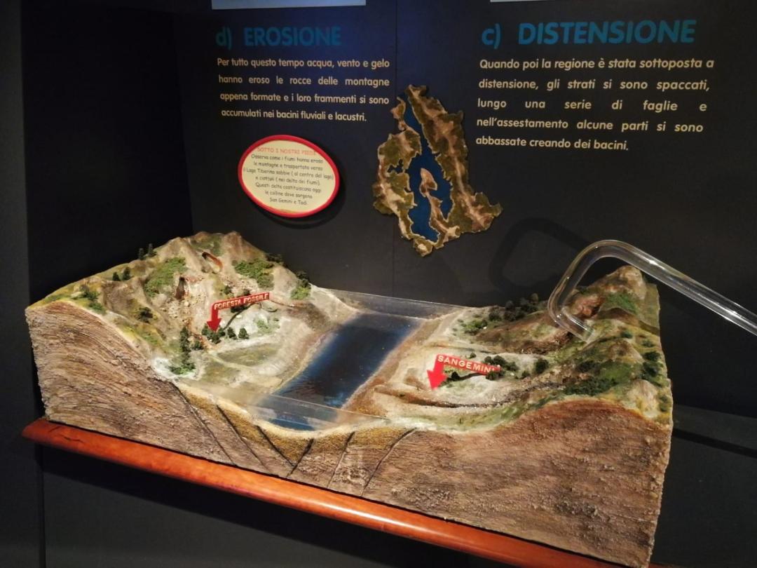 GEOLAB - Museum laboratory of Earth sciences