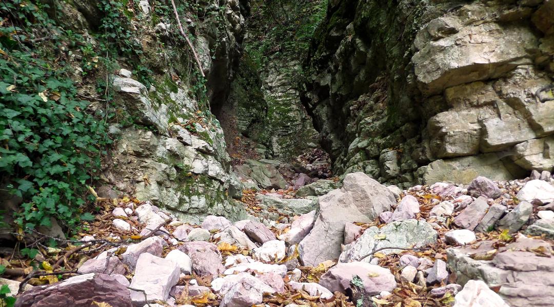 Forello gorge