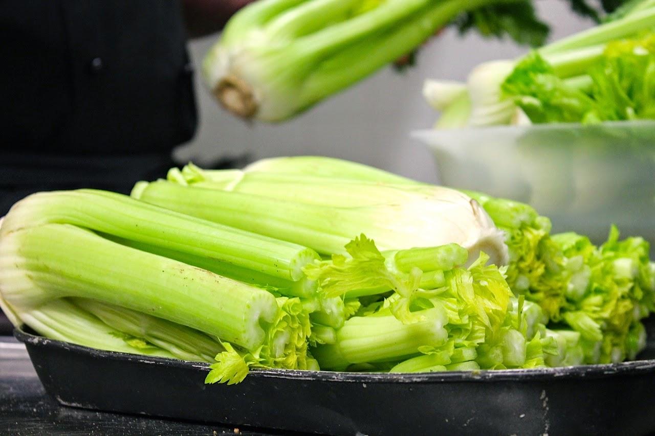 Sedano nero di Trevi