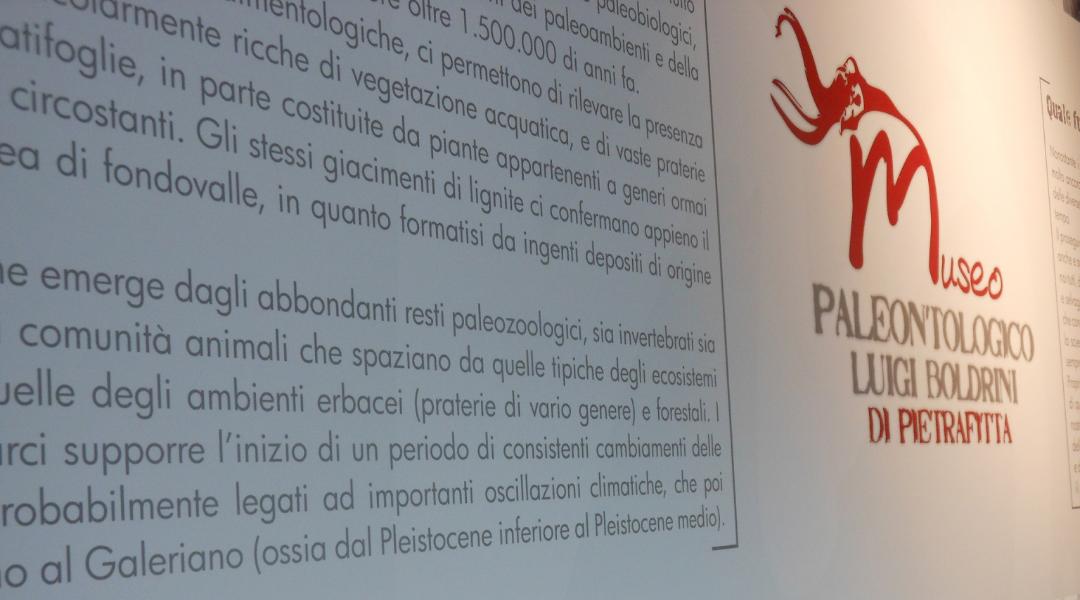 Panneau avec des descriptions et des informations explicatives situé à l'intérieur du musée.