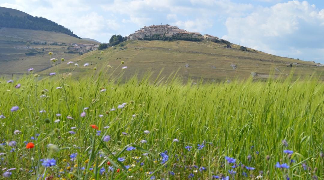 I Piani di Castelluccio di Castelluccio di Norcia