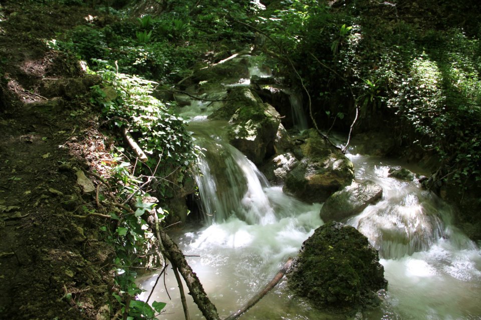 The Nocera Umbra sources