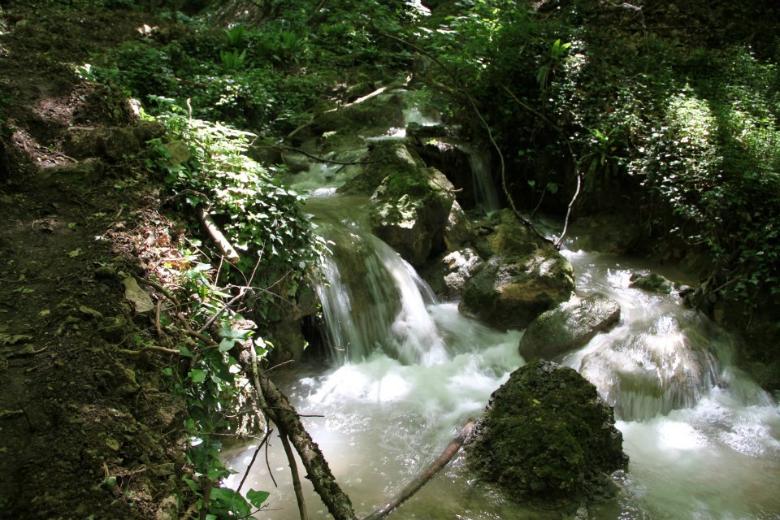  The Nocera Umbra sources 