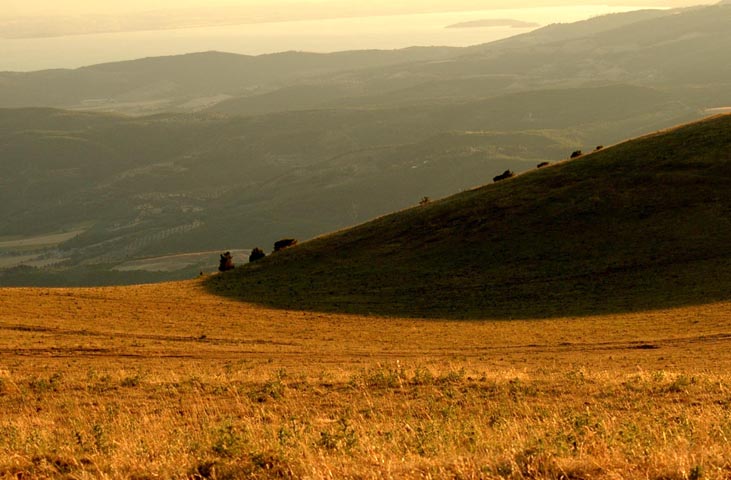 Immagine: Le parc naturel du Mont Tezio 