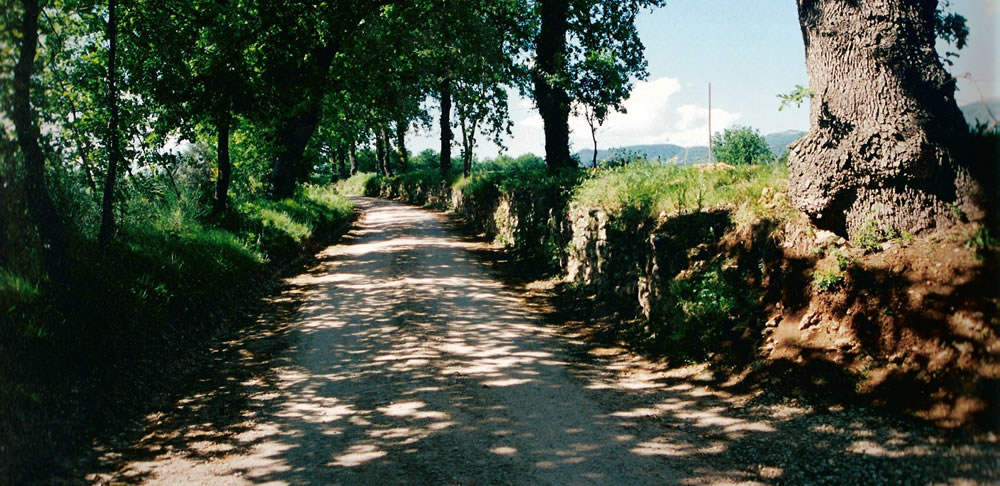 Vicus Martis Tudertium