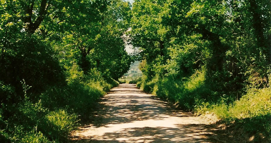 Vicus Martis Tudertium