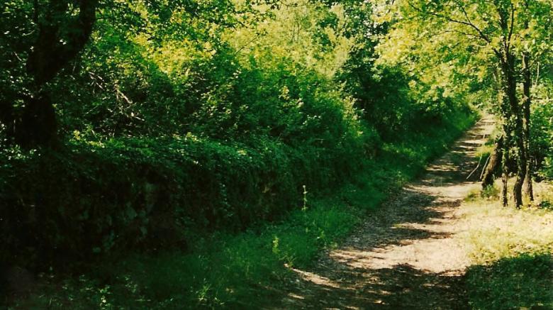 Immagine: Vicus Martis Tudertium 