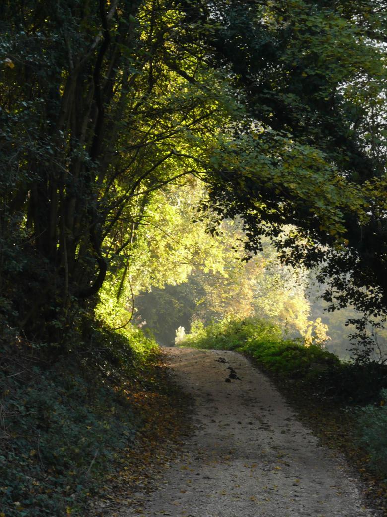 Immagine: Ceselli: canyoning, rafting and trekking 