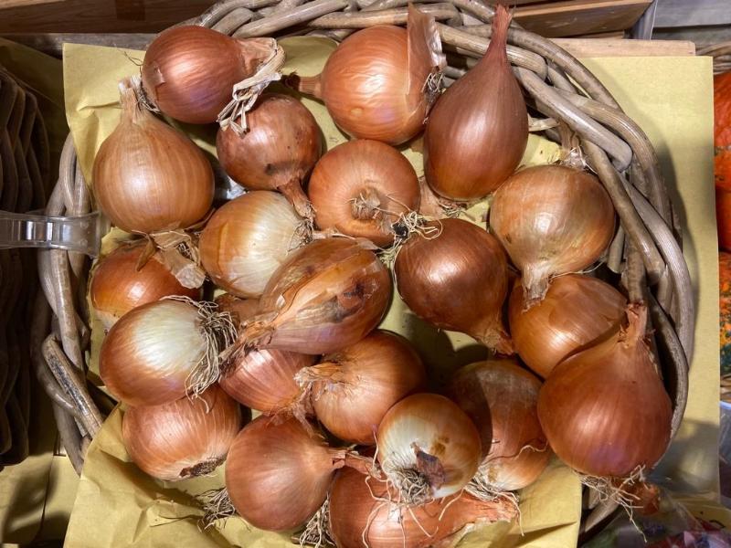 Cipolline di Cannara in agrodolce