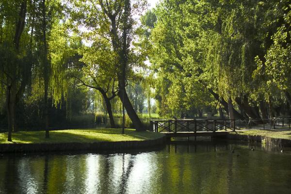 Titolo: The Poets' Springs: from Poreta to Trevi 