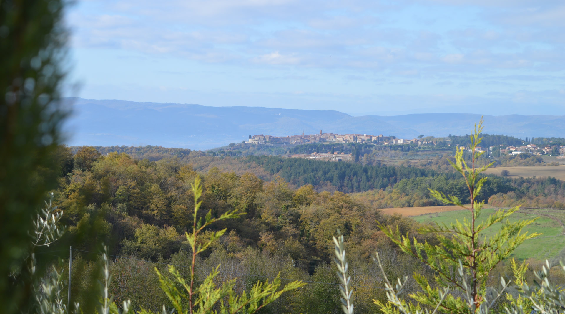 Panoramic view of Monteleone di Orvieto perched on a hill, surrounded by woods and fields, with a blue mountain backdrop. 