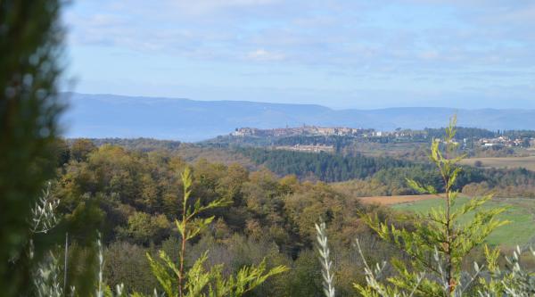  Panoramic view of Monteleone di Orvieto perched on a hill, surrounded by woods and fields, with a blue mountain backdrop. 