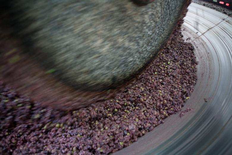  Umbria Orvietani Hills PDO olive oil trail 