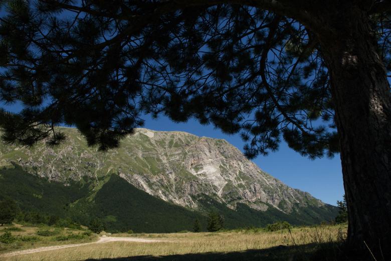 Titolo: Trekking on the Sibillini Mountains