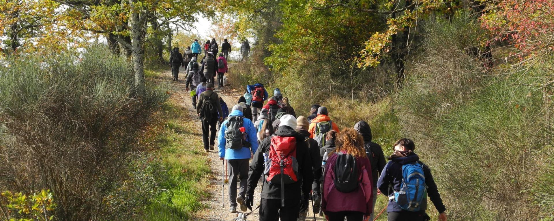 The paths of Perugino in the lands of the Marquis