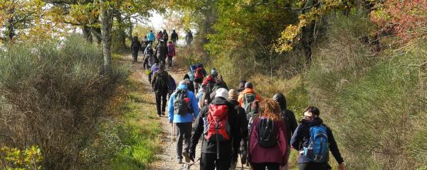  The paths of Perugino in the lands of the Marquis 