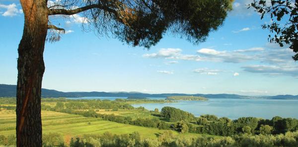  Trasimeno Lake - On horseback across the Trasimeno lands 