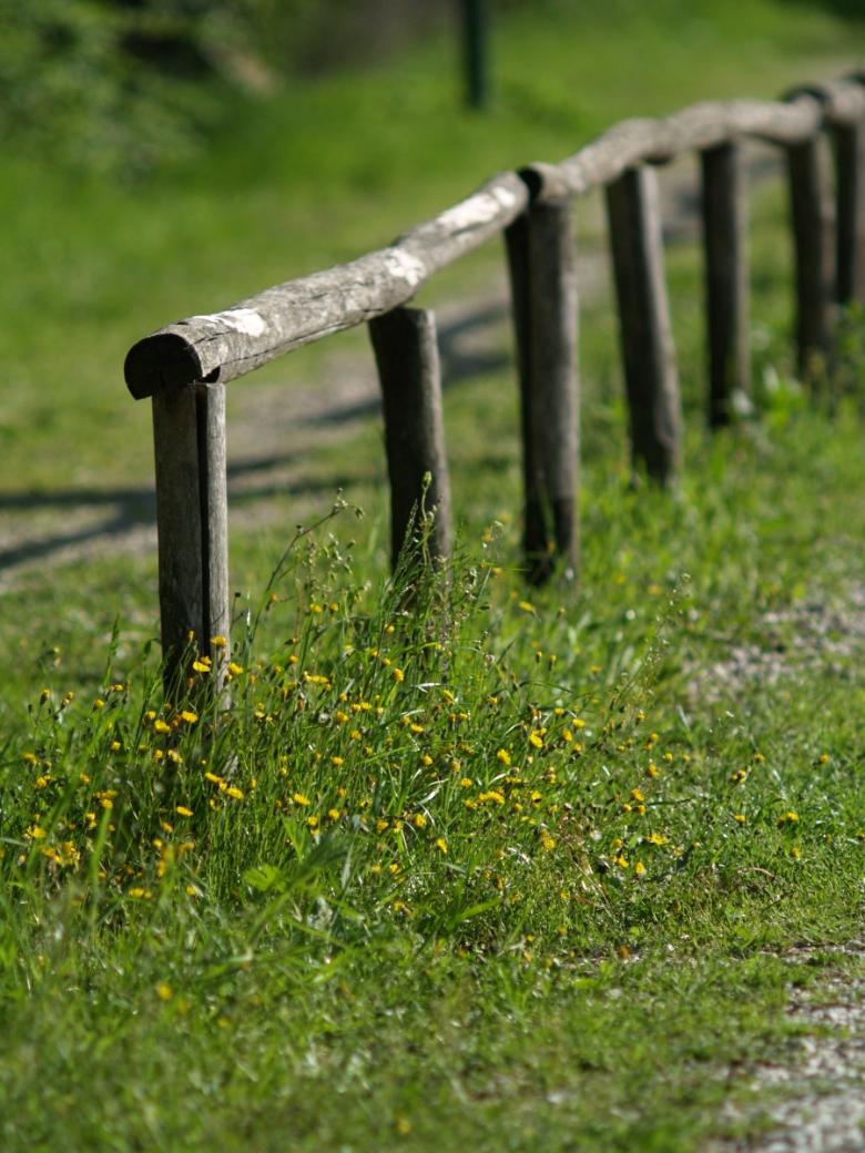 Titolo: A weekend in the midst of nature and history, in Amelia, Narni, and more 