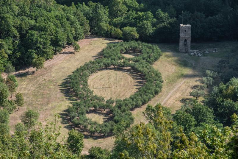 Il bosco di San Francesco