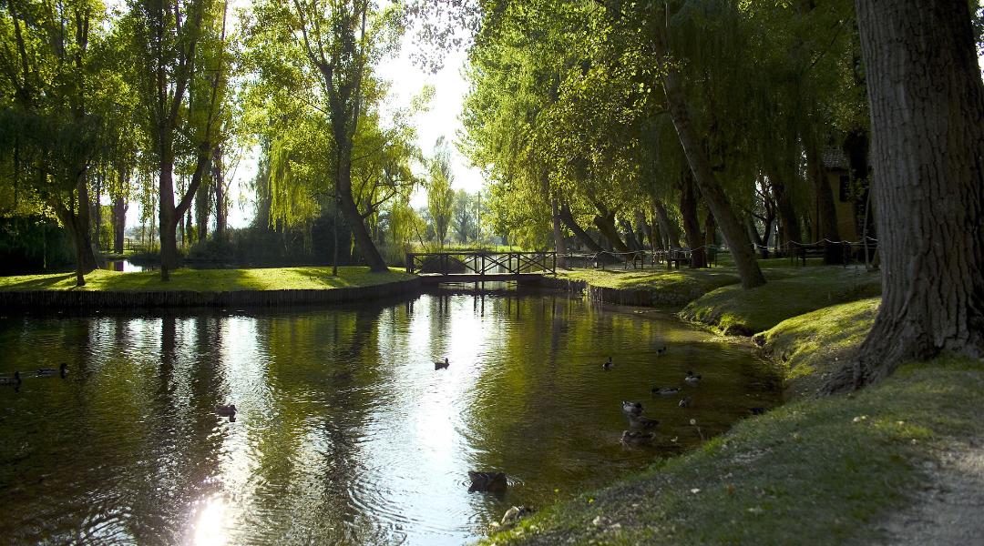 Clitunno Springs - Campello sul Clitunno