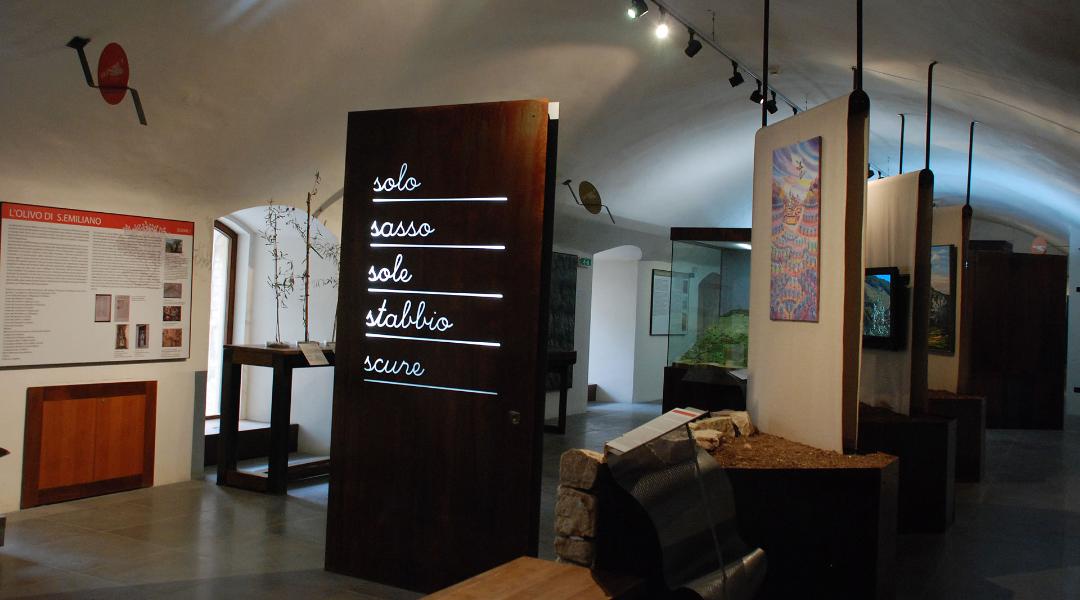 Museo della Civiltà dell'ulivo