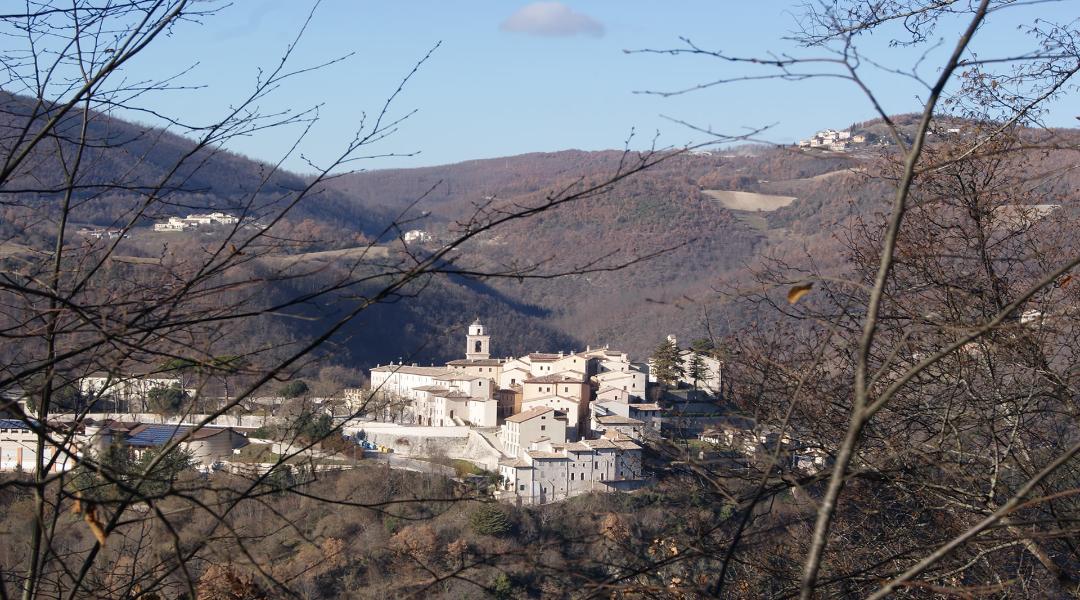 Panoramic view of Sellano, an Umbrian village nestled among the hills, with stone houses and a bell tower, framed by branches in the foreground.