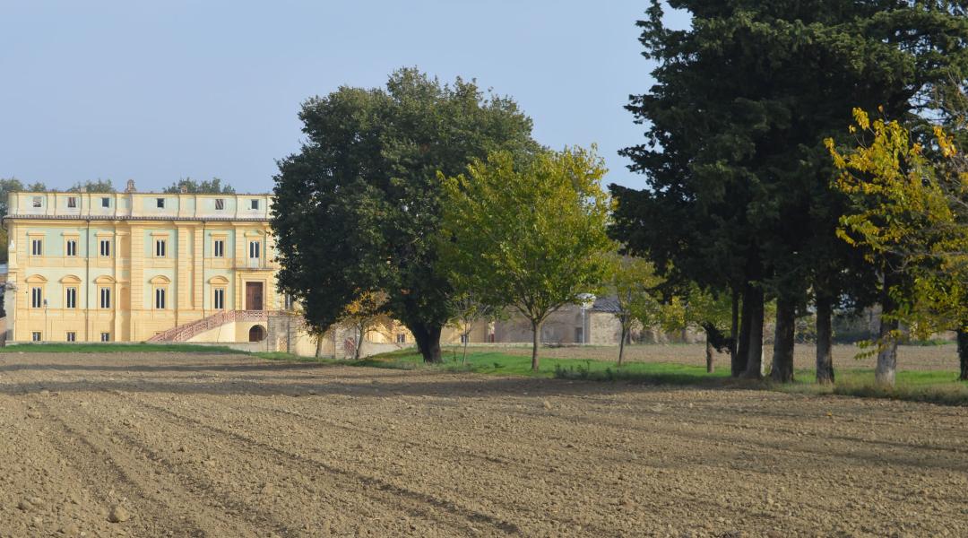 Villa del Boccaglione in Bettona, elegant 18th-century building surrounded by countryside with trees and fields.
