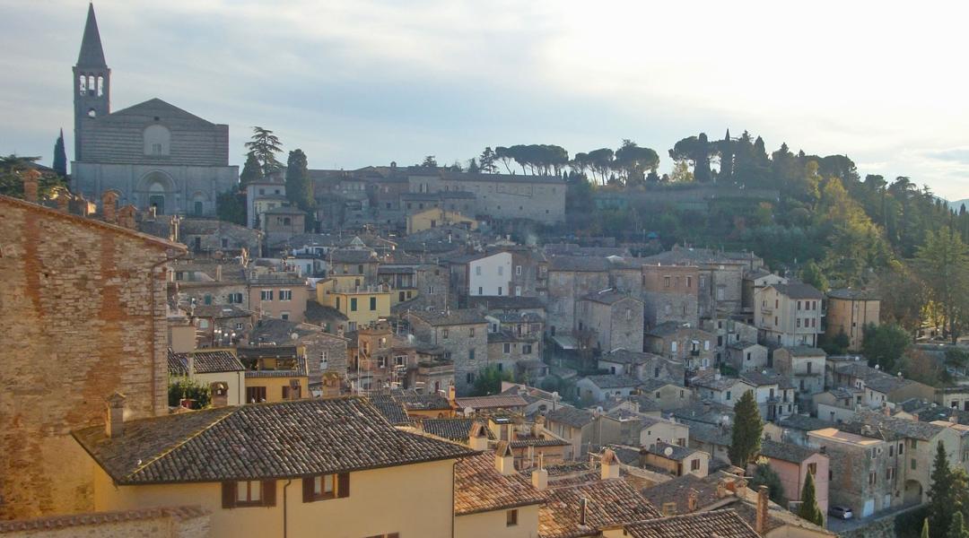 Todi