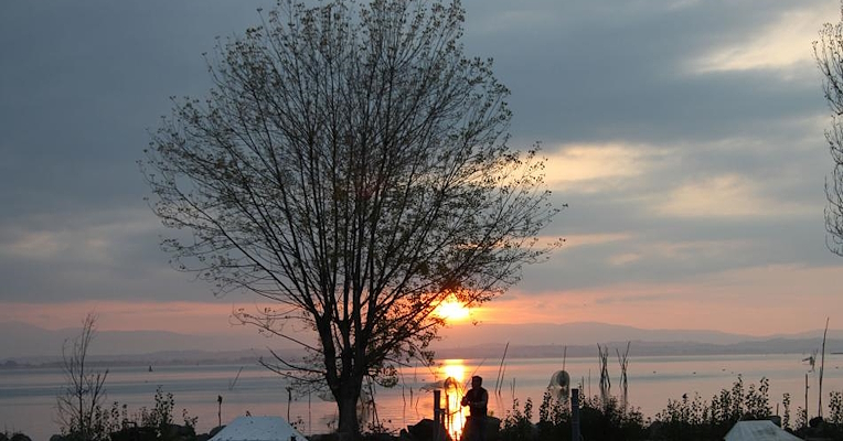 Golden sunset over Lake Trasimeno, with a bare tree in the foreground and the silhouette of a person on the shore.