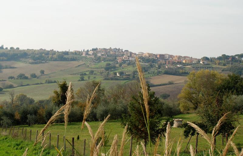 Panorama collinare con il borgo di Otricoli all’orizzonte, tra campi coltivati, uliveti e vegetazione spontanea.