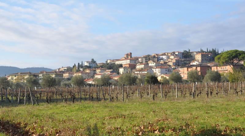 Veduta panoramica di Tuoro sul Trasimeno, con vigneti in primo piano e case colorate che si estendono su una collina verde.