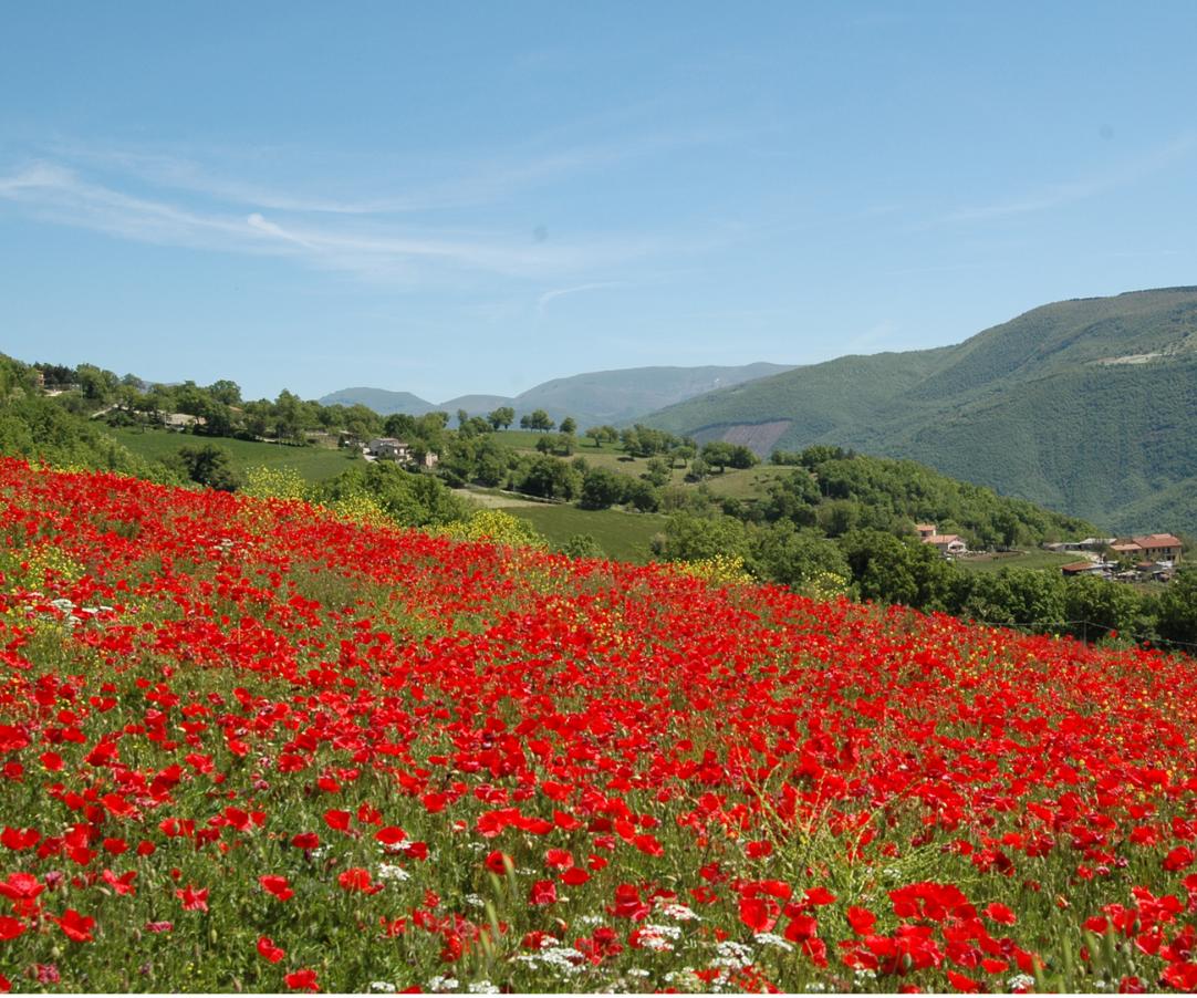 Itineraries in Valnerina