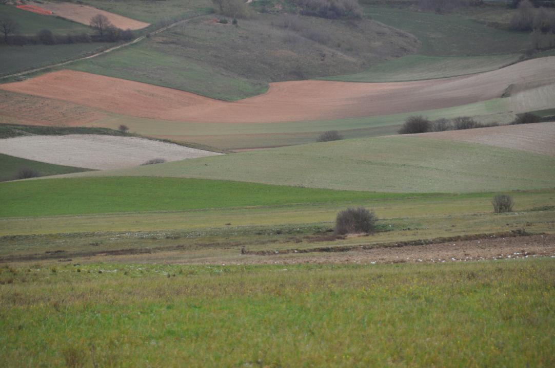 Naturschutzgebiet Colfiorito